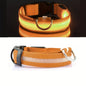 GlowLeash™